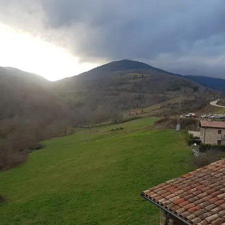 Triadu