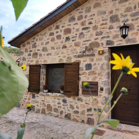 Triadu Chalet Camprodon