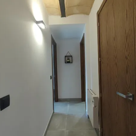 Triadu *